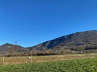 Lijak März 2020 - 1